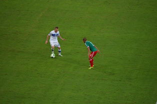 开云体育下载-波尔图战平巴黎圣日耳曼，梅西扑点救主世界杯