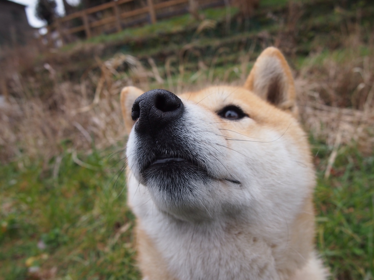 教科书级表现!维尼修斯如何用一场比赛定义现代边锋的终极形态